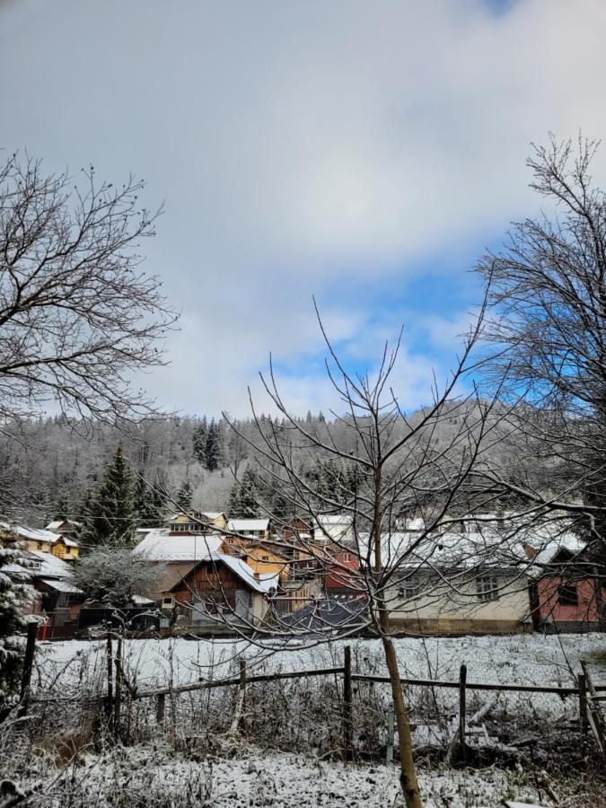 Apartamentul Florilor De Fan Azuga Exteriér fotografie